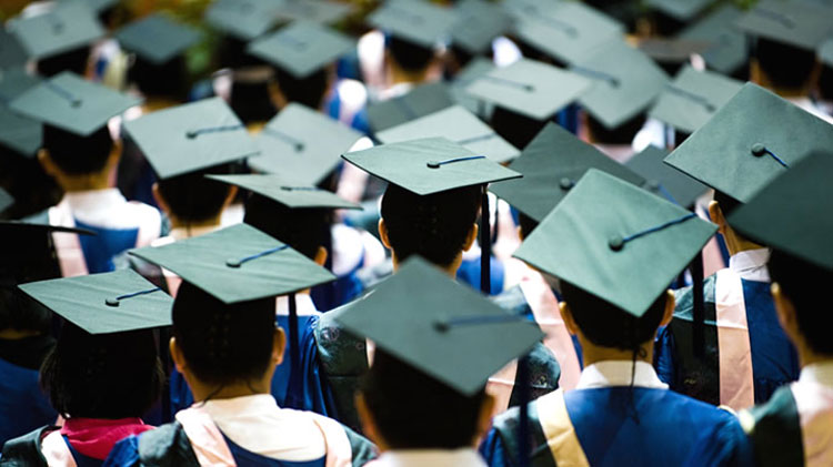 higher-education